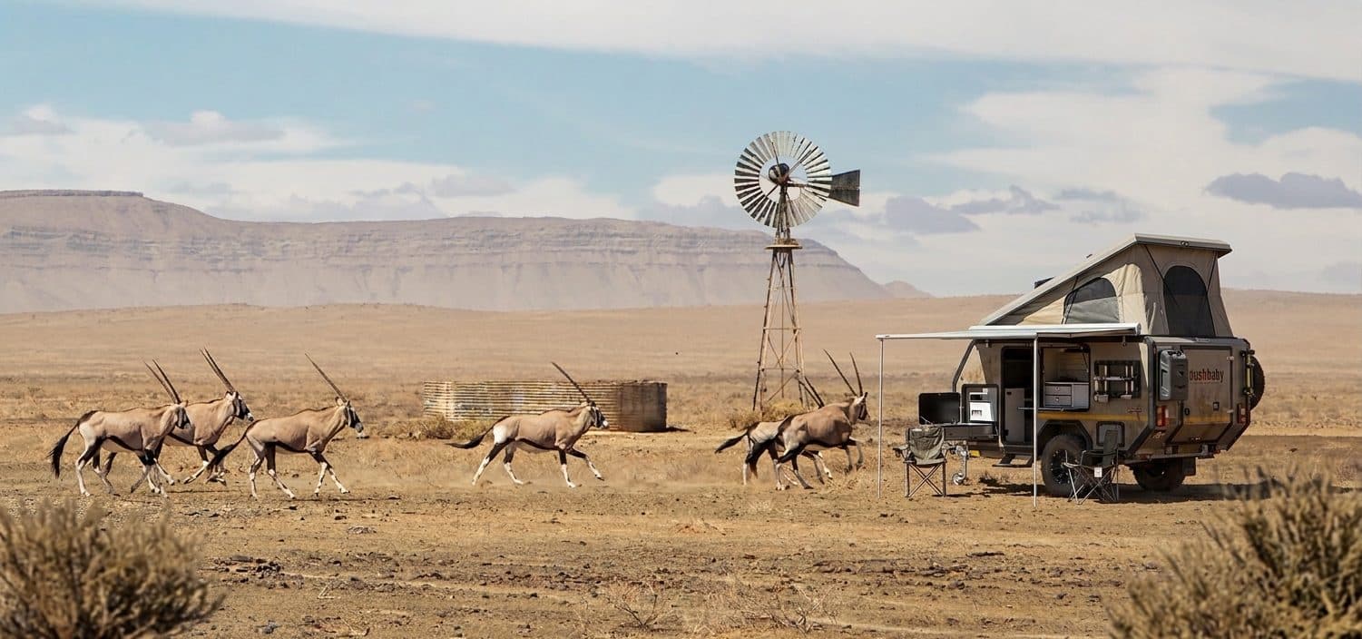 Gemsbok running past a windmill and camping trailer on the open Karoo veld